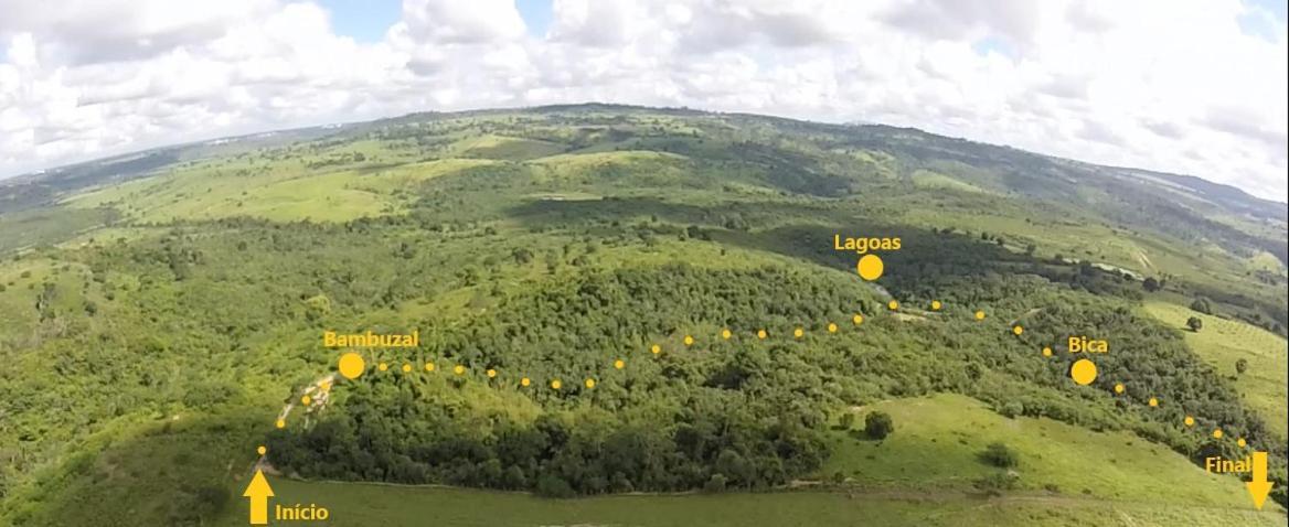 Fazenda Hotel Candeal Conceicao de Jacuipe 外观 照片