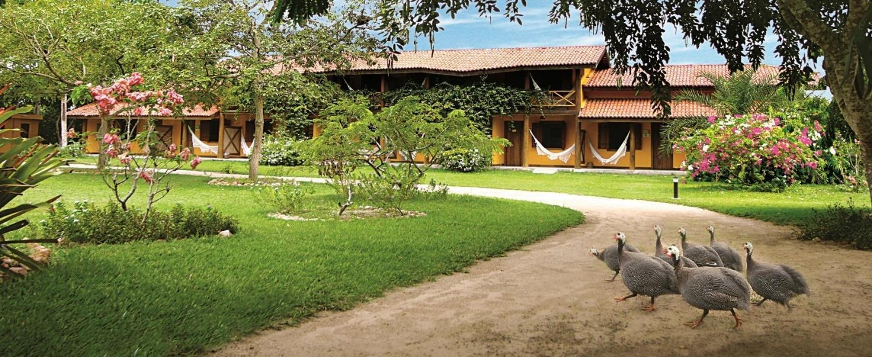 Fazenda Hotel Candeal Conceicao de Jacuipe 外观 照片