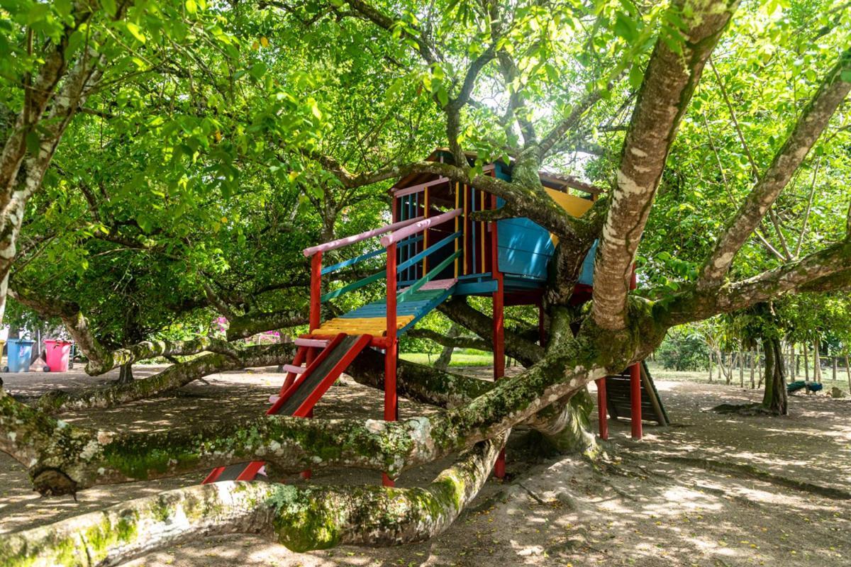 Fazenda Hotel Candeal Conceicao de Jacuipe 外观 照片